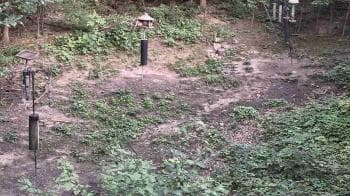 Weather camera view of Cincinnati Nature Center.