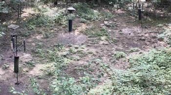 Weather camera view of Cincinnati Nature Center.