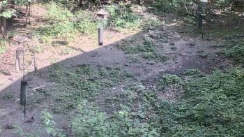 Weather camera view of Cincinnati Nature Center.