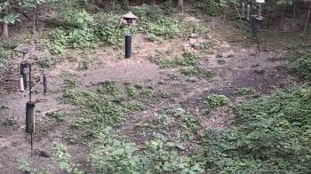 Weather camera view of Cincinnati Nature Center.