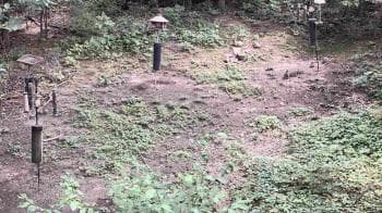 Weather camera view of Cincinnati Nature Center.