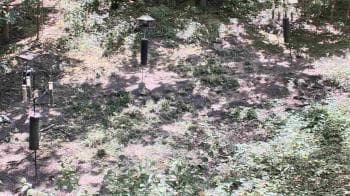 Weather camera view of Cincinnati Nature Center.