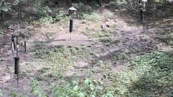 Weather camera view of Cincinnati Nature Center.