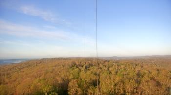 Weather camera view of Cartwright Mountain.