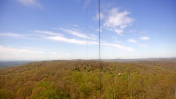 Weather camera view of Cartwright Mountain.
