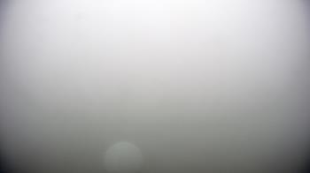 Weather camera view of Cartwright Mountain.