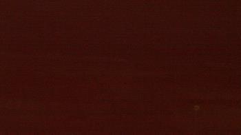 Weather camera view of Beach Patrol HQ.