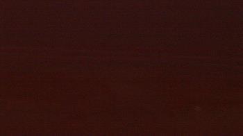 Weather camera view of Beach Patrol HQ.