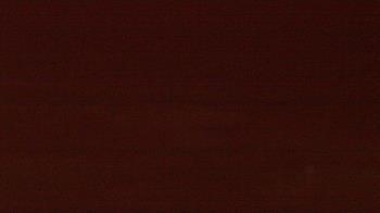 Weather camera view of Beach Patrol HQ.