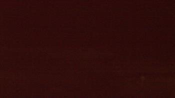 Weather camera view of Beach Patrol HQ.