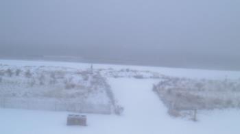Weather camera view of Beach Patrol HQ.