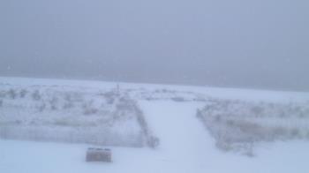 Weather camera view of Beach Patrol HQ.