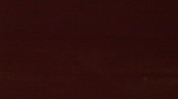 Weather camera view of Beach Patrol HQ.