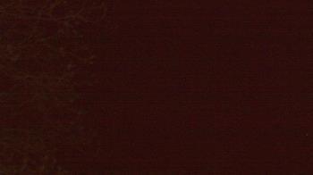 Weather camera view of Farmersville School.