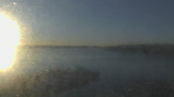 Weather camera view of Emerald Coast Marine.