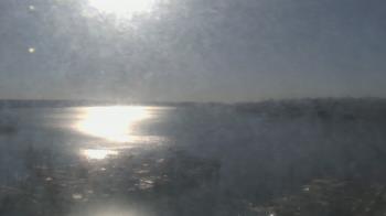 Weather camera view of Emerald Coast Marine.