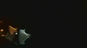 Weather camera view of John M Moriarty ES.