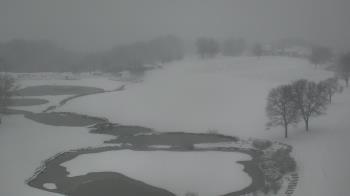 Weather camera view of The Club at Nevillewood.