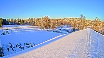 Weather camera view of St Johns Lutheran School.