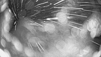 Weather camera view of St Johns Lutheran School.