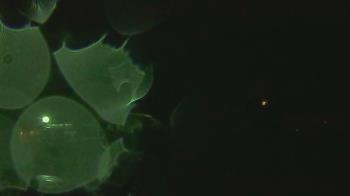 Weather camera view of Overshot NC.