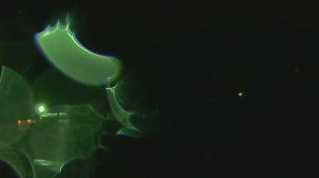 Weather camera view of Overshot NC.