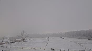 Weather camera view of Orchard Hill.