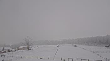 Weather camera view of Orchard Hill.