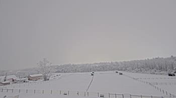 Weather camera view of Orchard Hill.