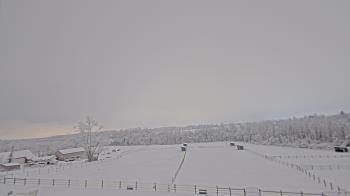 Weather camera view of Orchard Hill.