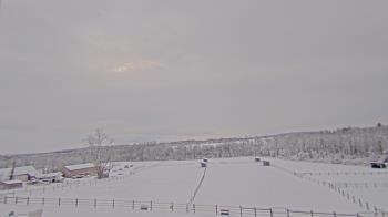 Weather camera view of Orchard Hill.