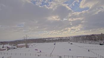 Weather camera view of Orchard Hill.