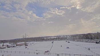 Weather camera view of Orchard Hill.