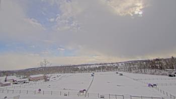 Weather camera view of Orchard Hill.