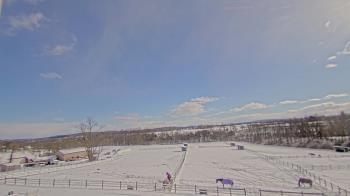 Weather camera view of Orchard Hill.