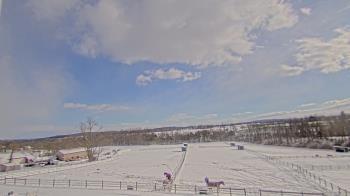 Weather camera view of Orchard Hill.