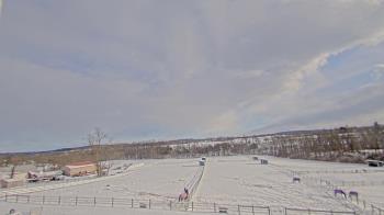 Weather camera view of Orchard Hill.