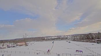 Weather camera view of Orchard Hill.