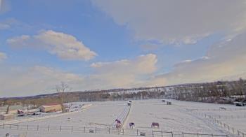 Weather camera view of Orchard Hill.