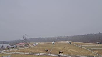 Weather camera view of Orchard Hill.