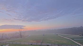 Weather camera view of Orchard Hill.