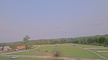 Weather camera view of Orchard Hill.