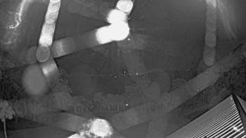Weather camera view of Callawassie Island Club.