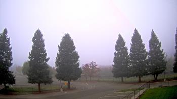 Weather camera view of Pleasanton MS.