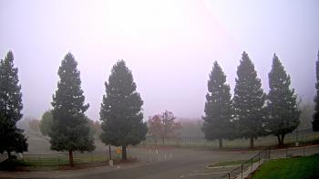 Weather camera view of Pleasanton MS.