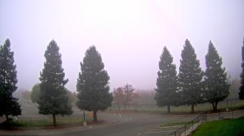 Weather camera view of Pleasanton MS.