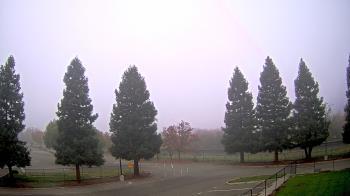 Weather camera view of Pleasanton MS.