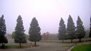 Weather camera view of Pleasanton MS.