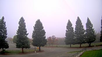 Weather camera view of Pleasanton MS.