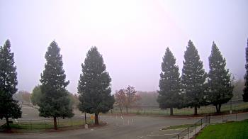 Weather camera view of Pleasanton MS.